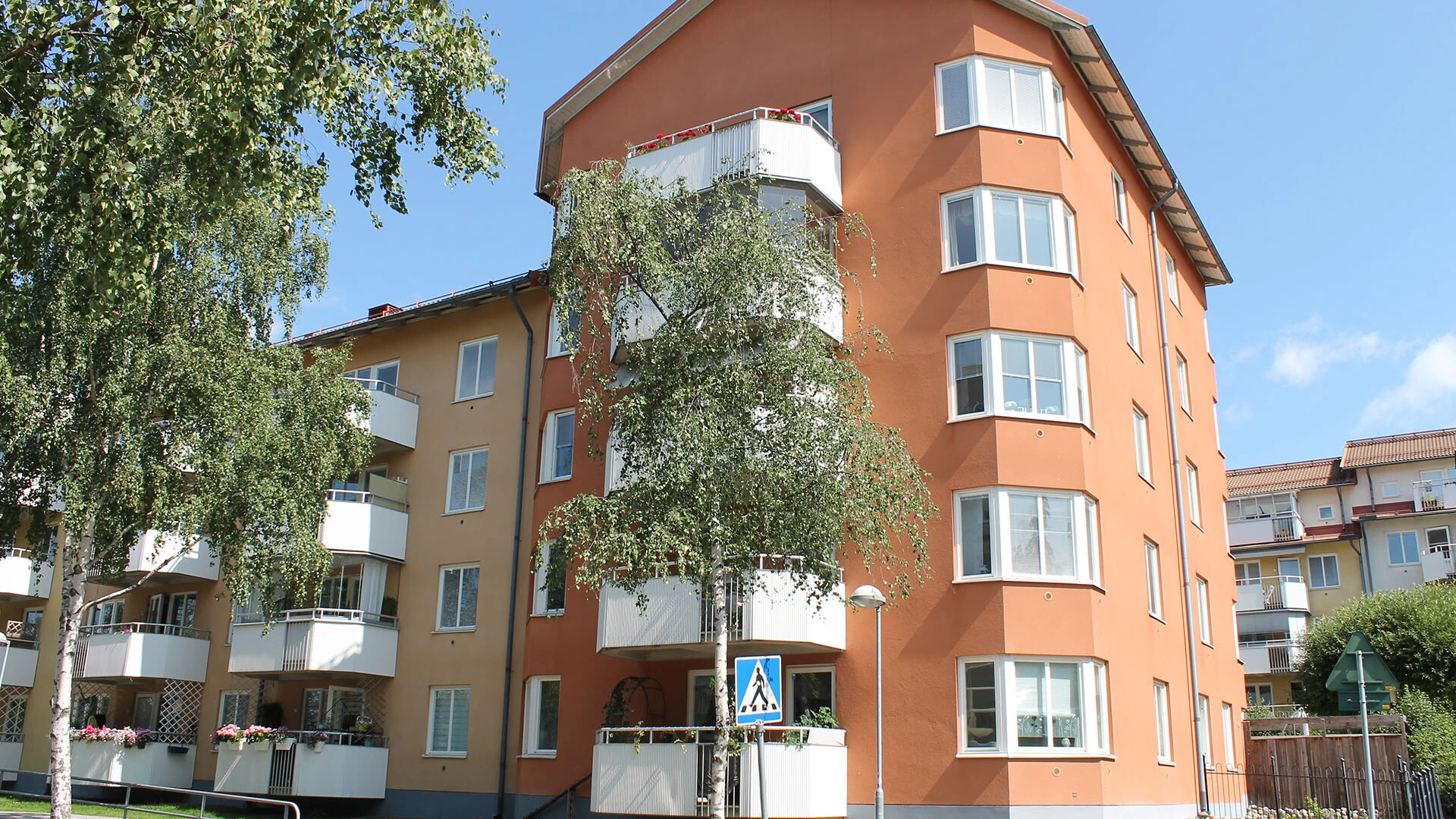 Weber Serporoc soderberga1