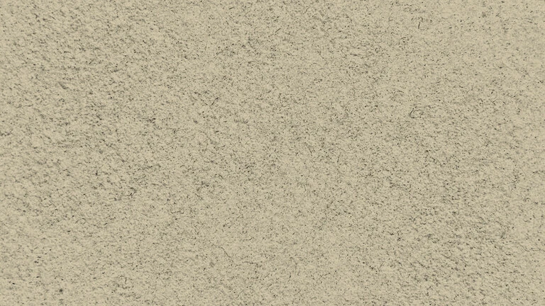23004