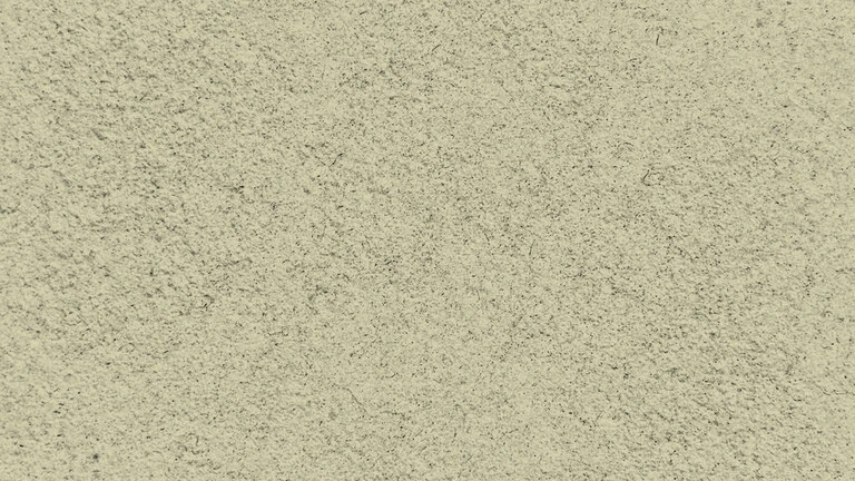 23005
