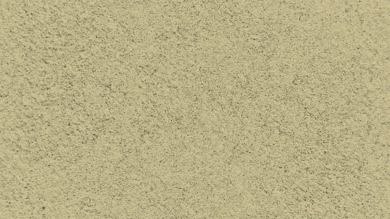 23006