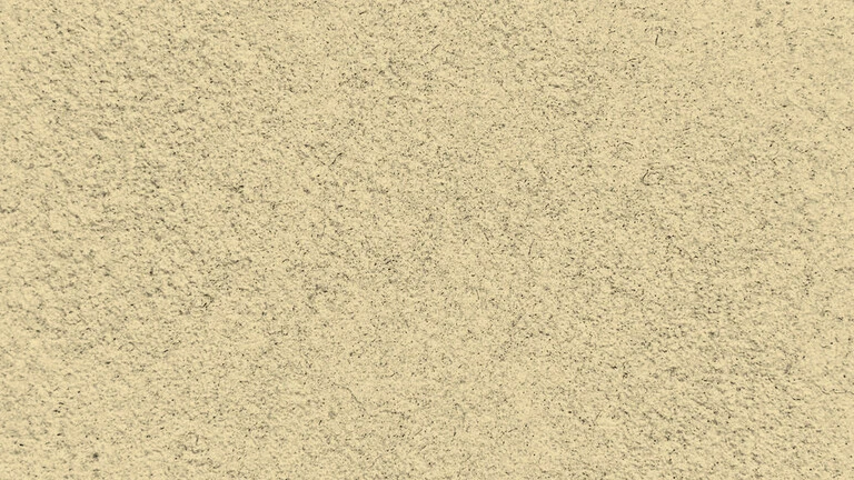 23007