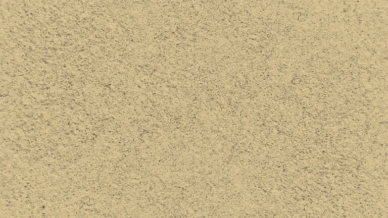 23008