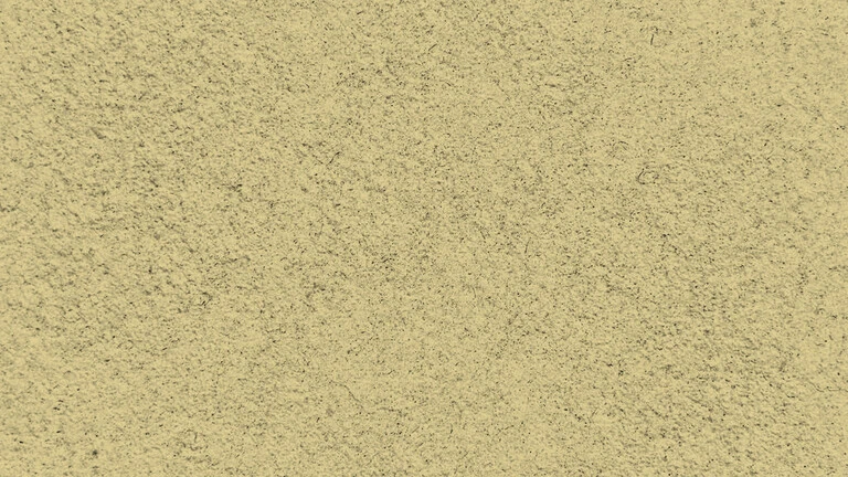 23009