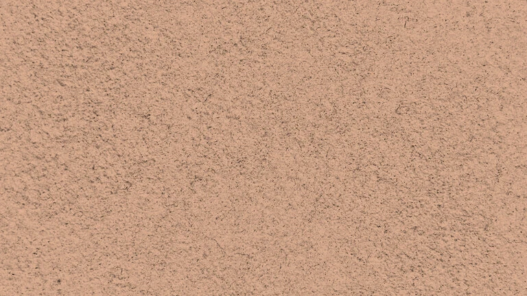 23010