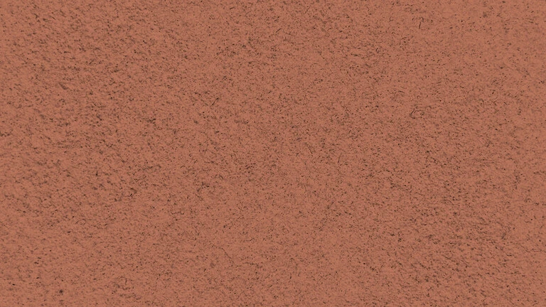 23019
