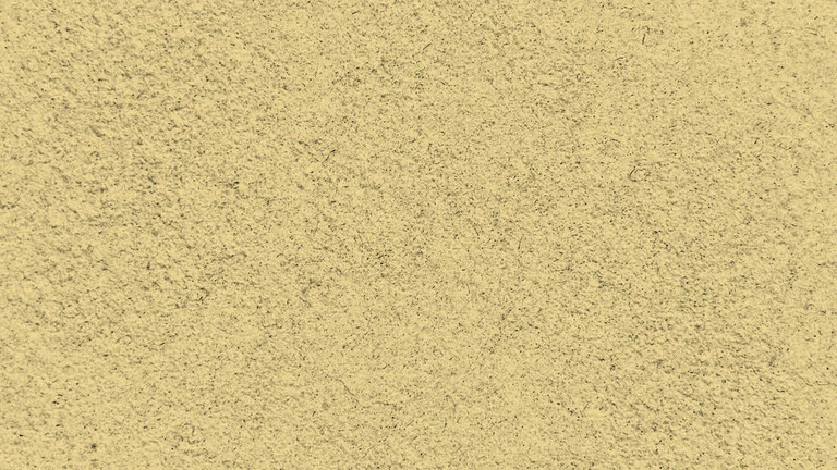 23021