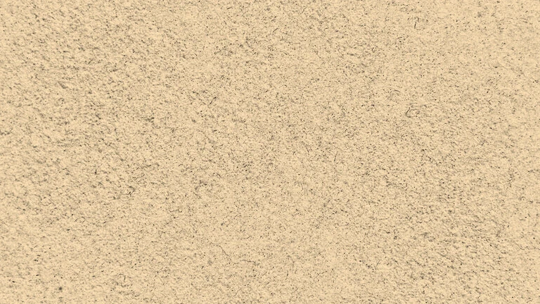 23026