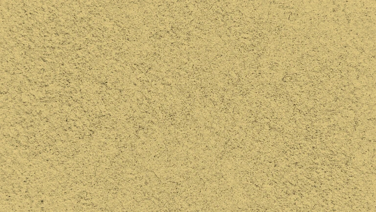23029