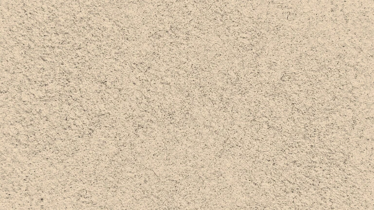23031