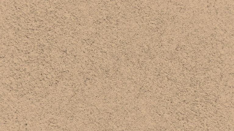 23032