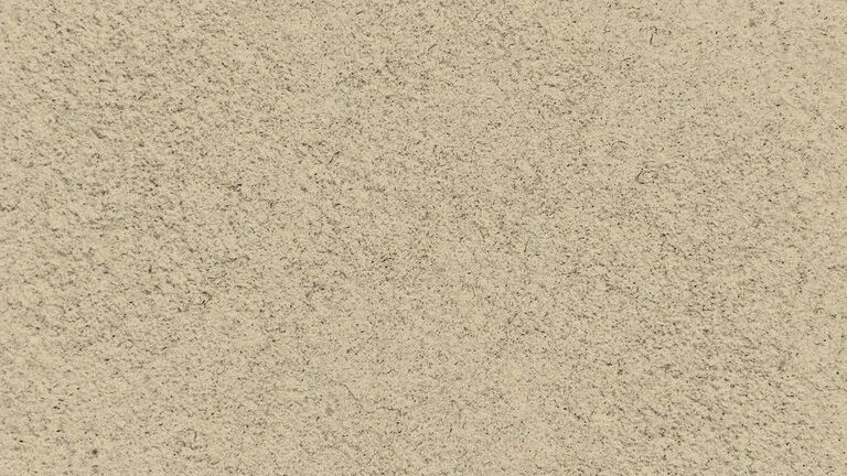 23041