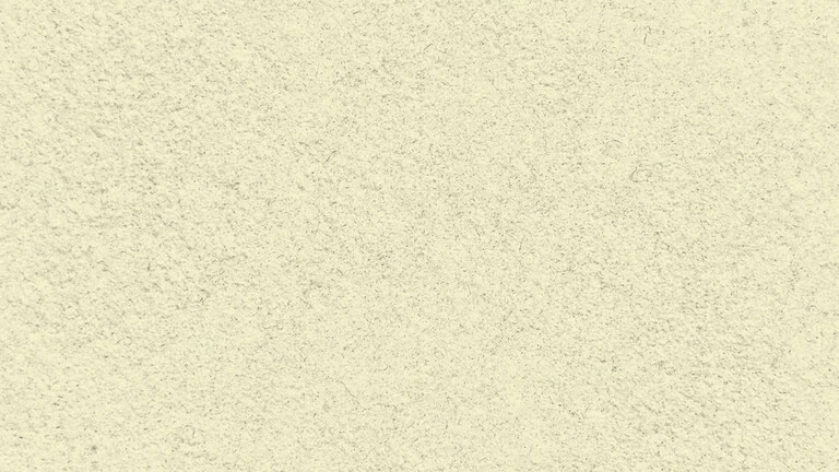 33004