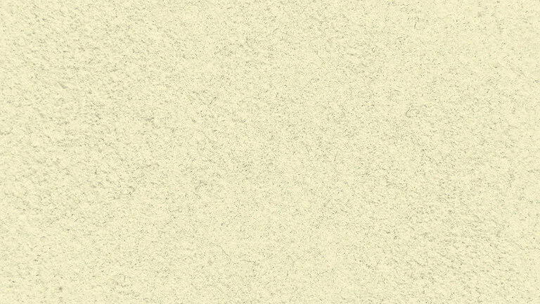 33005