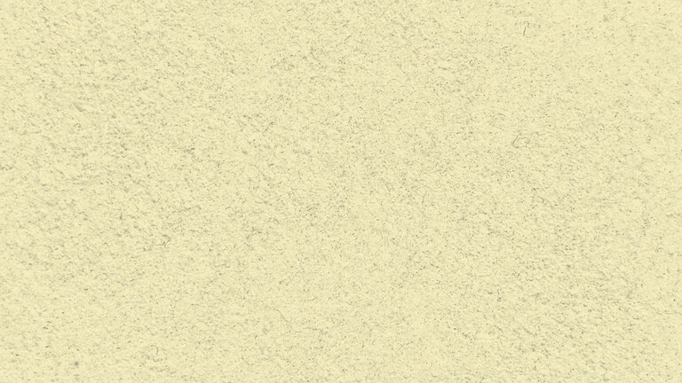 33006