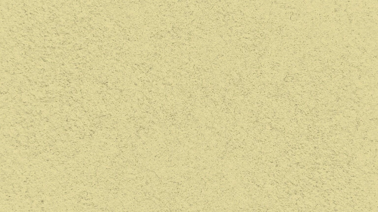 33007