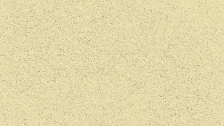 33008
