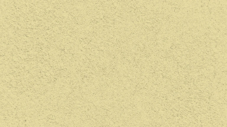 33009
