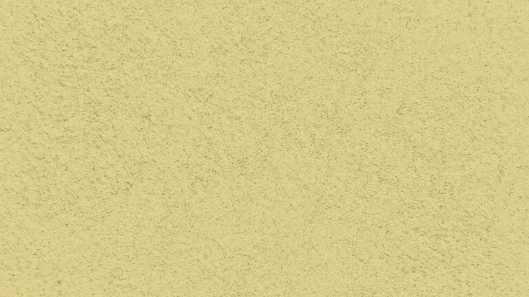 33010