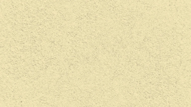 33019