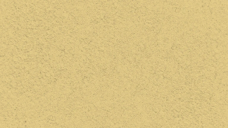 33021