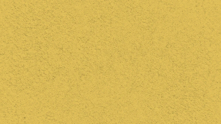 33025