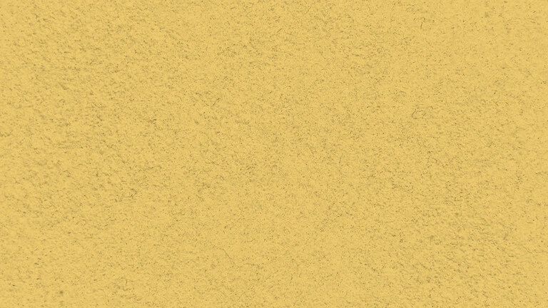 33029