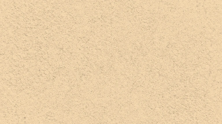 33031
