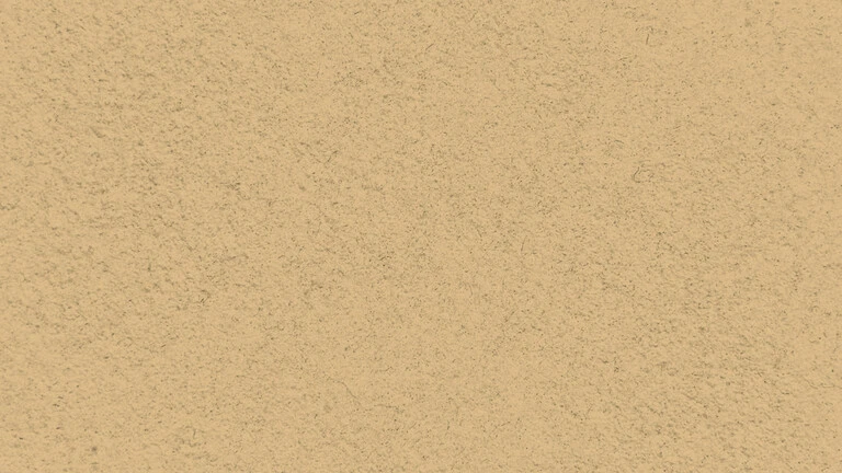 33034