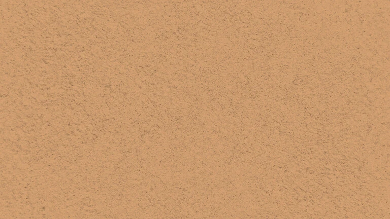 33036