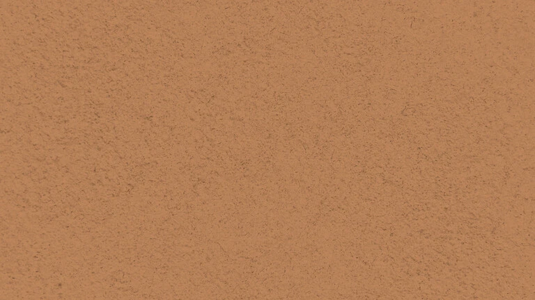 33038