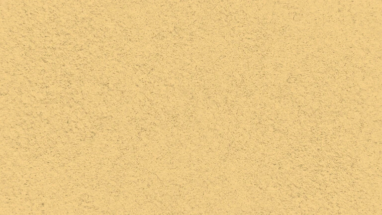 33041