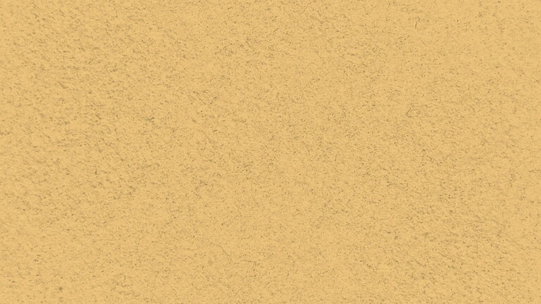 33043