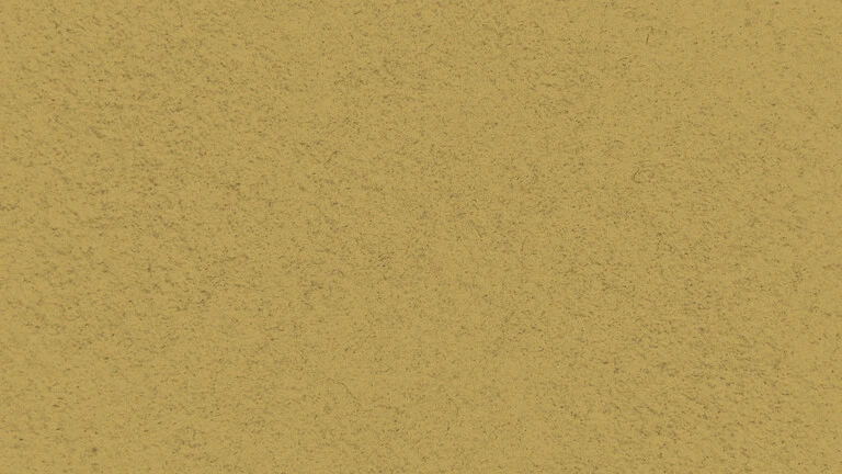 33050