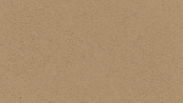 33055